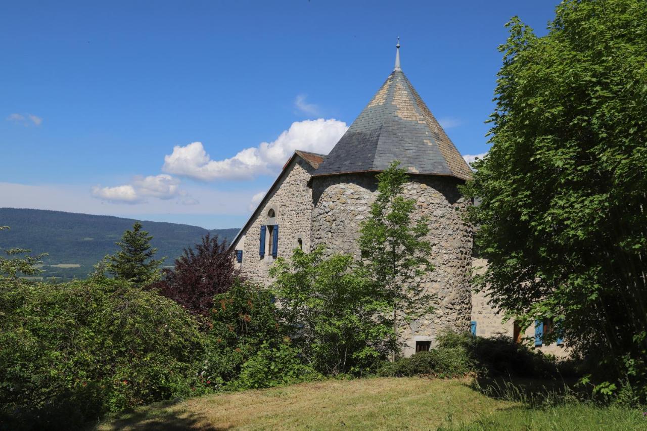 Chateau De Sothonod Exterior photo